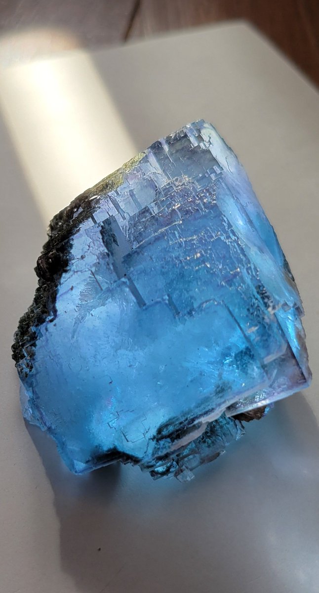 部屋の中の海 中国ヤオガンシャン産フローライト #今日の鉱物