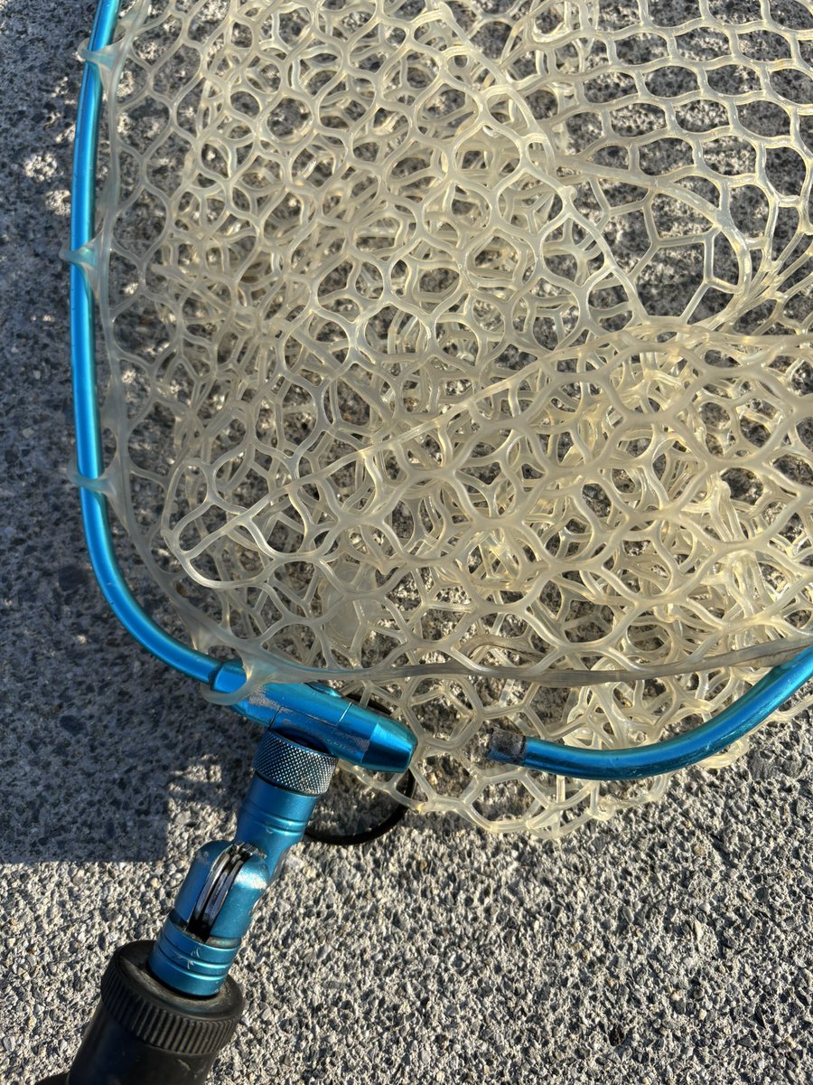ta_chin_bream's tweet photo. プラッギングとミドストで13キャッチ。プラグはクロストリガー、ミドストはスイングインパクトとイージーシャイナー。お気に入りだったタモがとうとう壊れてしまいました( ; ; )
#クロストリガー #ミドスト #スイングインパクト #イージーシャイナー #GRANDAGEVICE #グランデージヴァイス #APIA https://t.co/i9MLkKfFTK