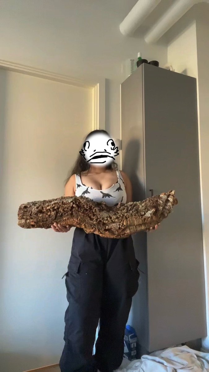 LittleLamia_'s tweet image. Posing with my corks like men pose with corpses on their facebook, tinder and pfps(mostly fish but not limited to that)

But with fish faces bc these were cuter to draw than actual men🥲I tried but it creeped me out too bad so i redid it like this💀💀💀