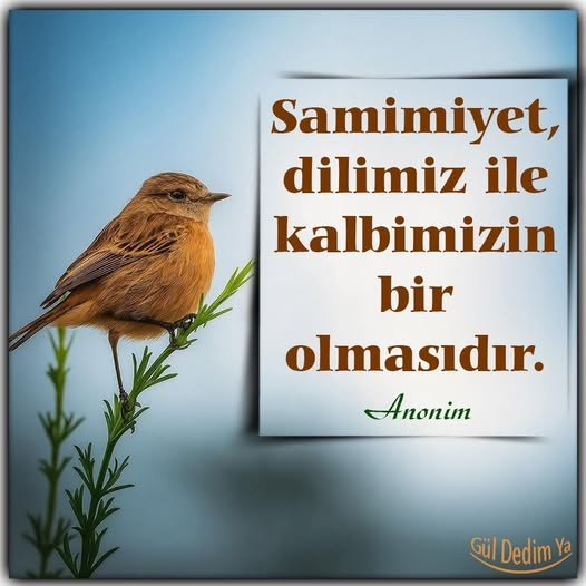 Nazlı (@nazlikeceli) on Twitter photo 