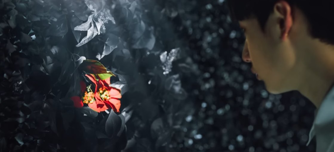 The symbolism of the dagger absorbing darkness only for it to be injected back into the white flower, spreading like poison when their whole journey started with poisoned Poinsettia flowers in District 9...