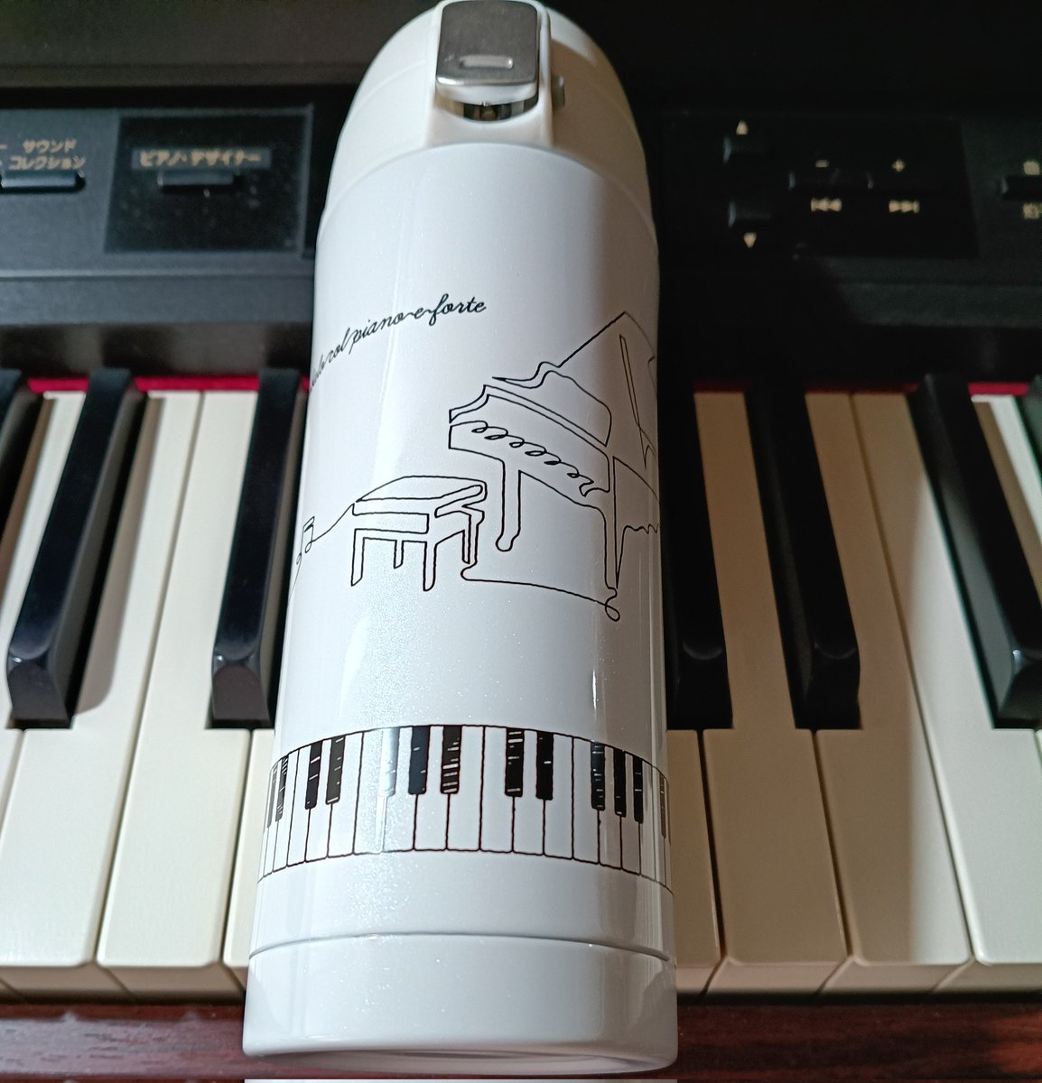 ちょっとしたお出かけにちょうどいい、小さい水筒買ってきた。レッスンの時も使おう。
350mlなので夏場はこれでは足りなさそうだけど。今の時期ならちょうどいいです。