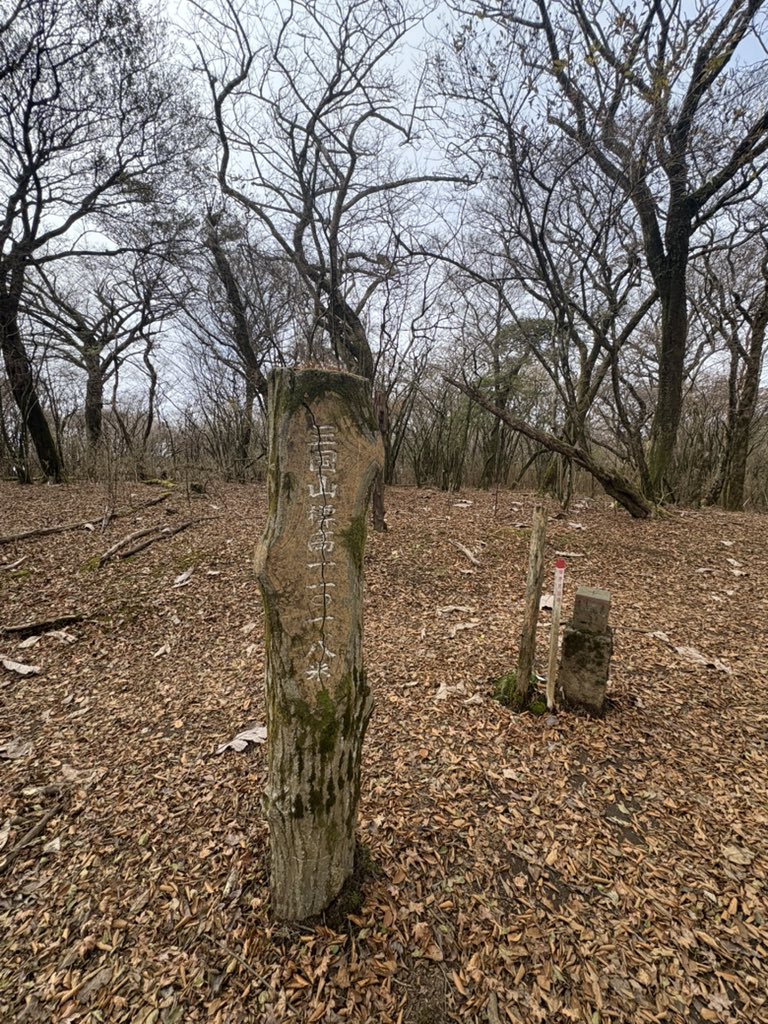 頂上は霧 準備開始
