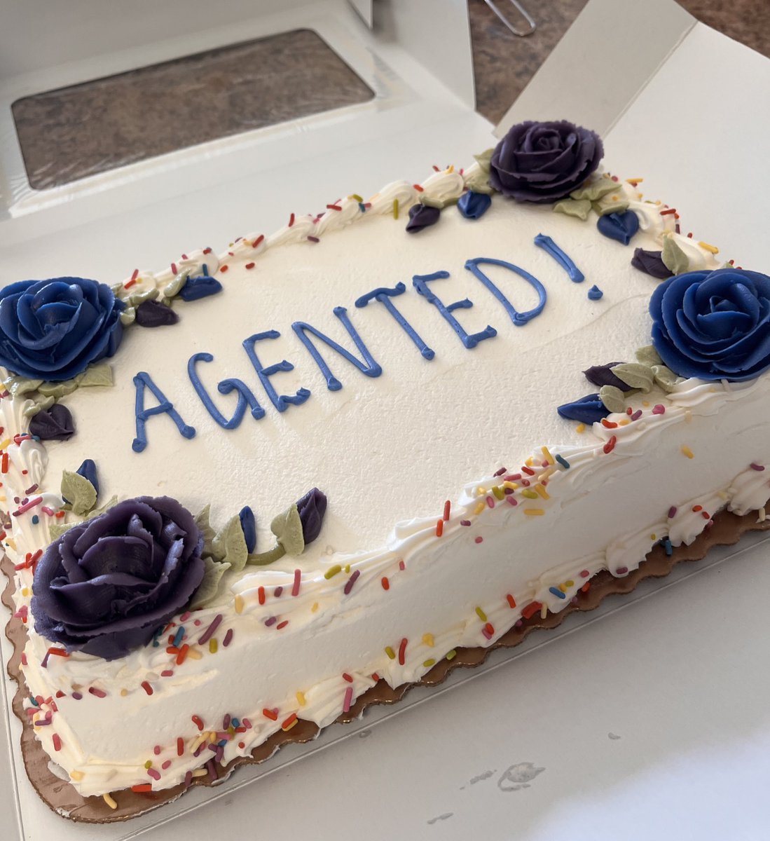 rachmucha's tweet image. So… 😬🤭🥳 After one long year and countless ups and downs, my querying journey has come to an end and I’ve signed with a fantastic agent at CAA. I cannot wait to see my next book out in the world ♥️ #amquerying #writingcommunity