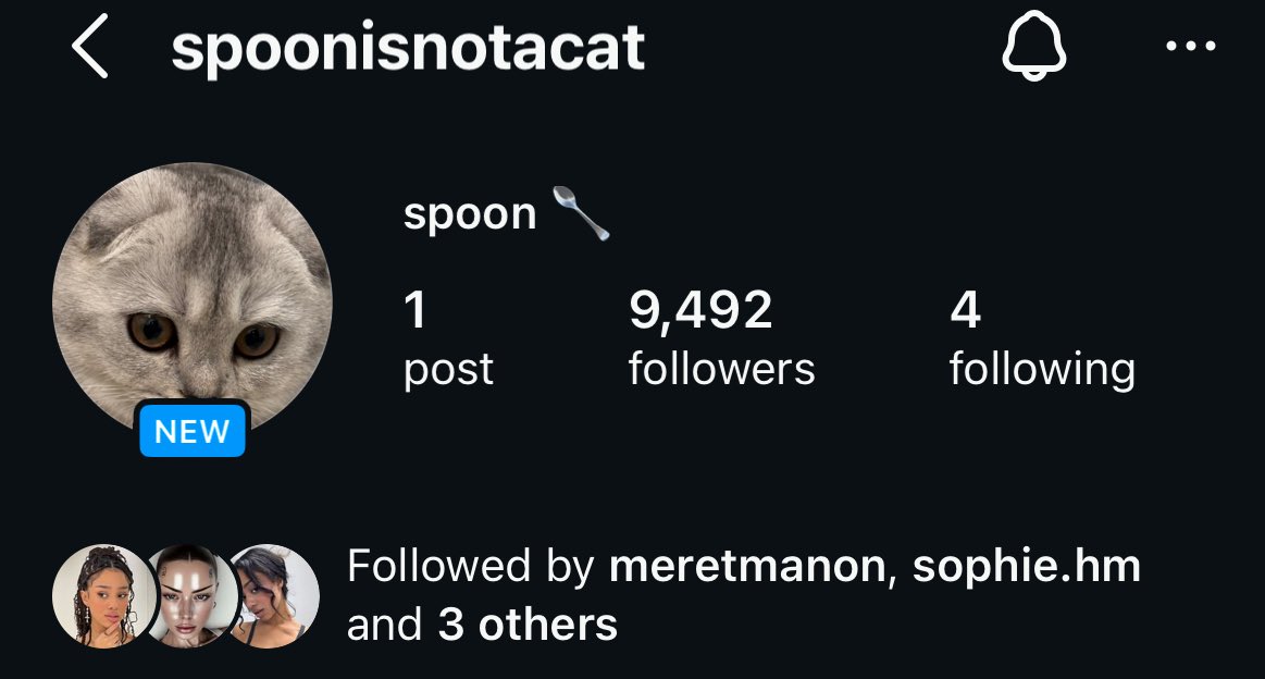manonsarchives's tweet image. spoon having almost 10k followers in an hour this is nepotism