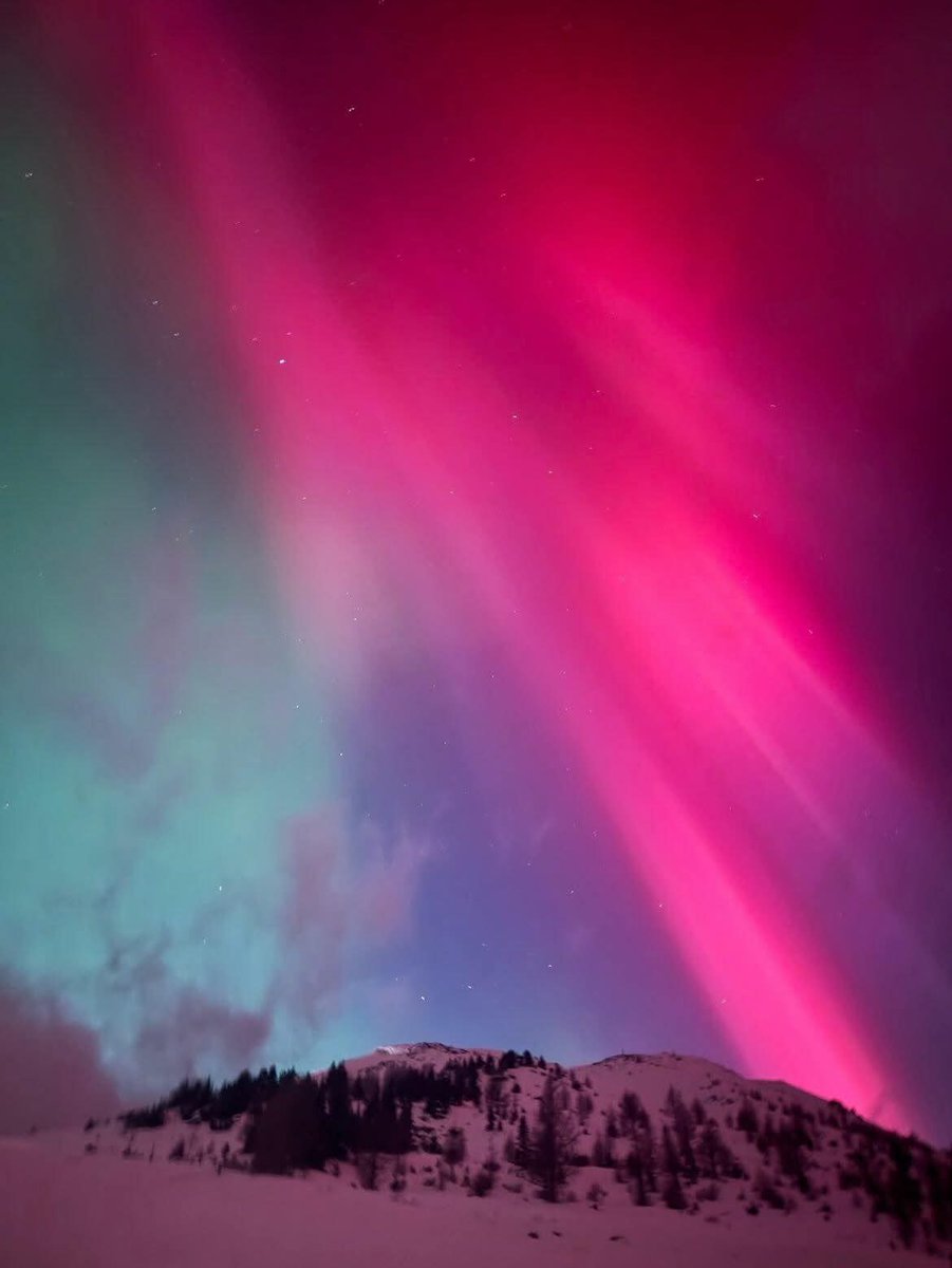 lazyJQ's tweet image. 刚意识到今年是我的本命年
一系列超级幸运的事件，和几次濒死体验，原来都是本命年的劫🤔？