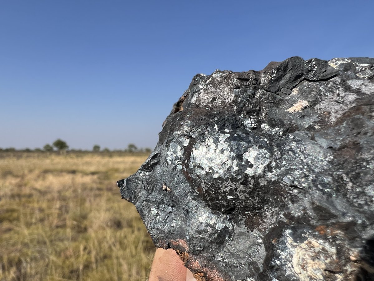 Trek Metals Ltd tweet media