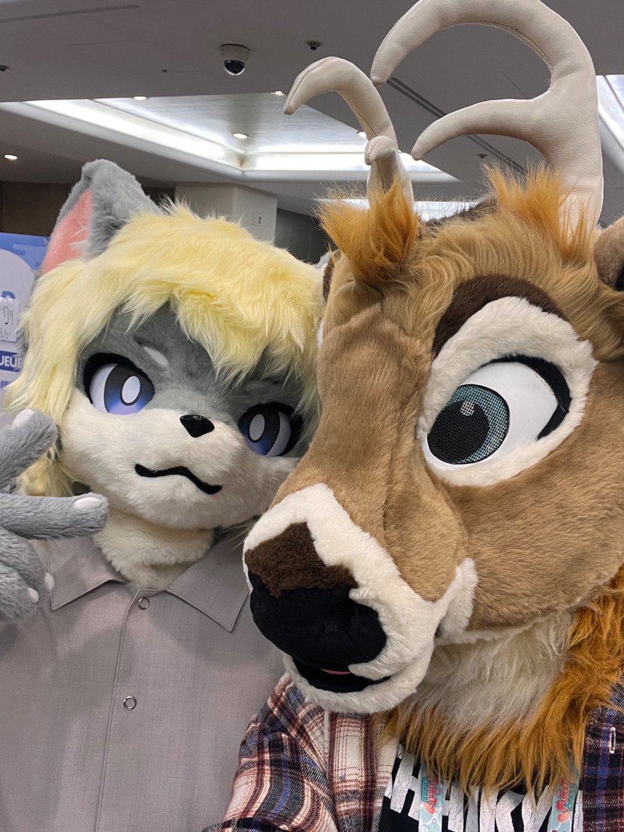 atty_boy's tweet photo. So many cute fursuits at @FURSTCLASS_KR in Busan this weekend! Was so cool to see furry events on the other side of the world 🥰 sorry I didn't grab @/s for everyone! https://t.co/KsosfPCDlQ