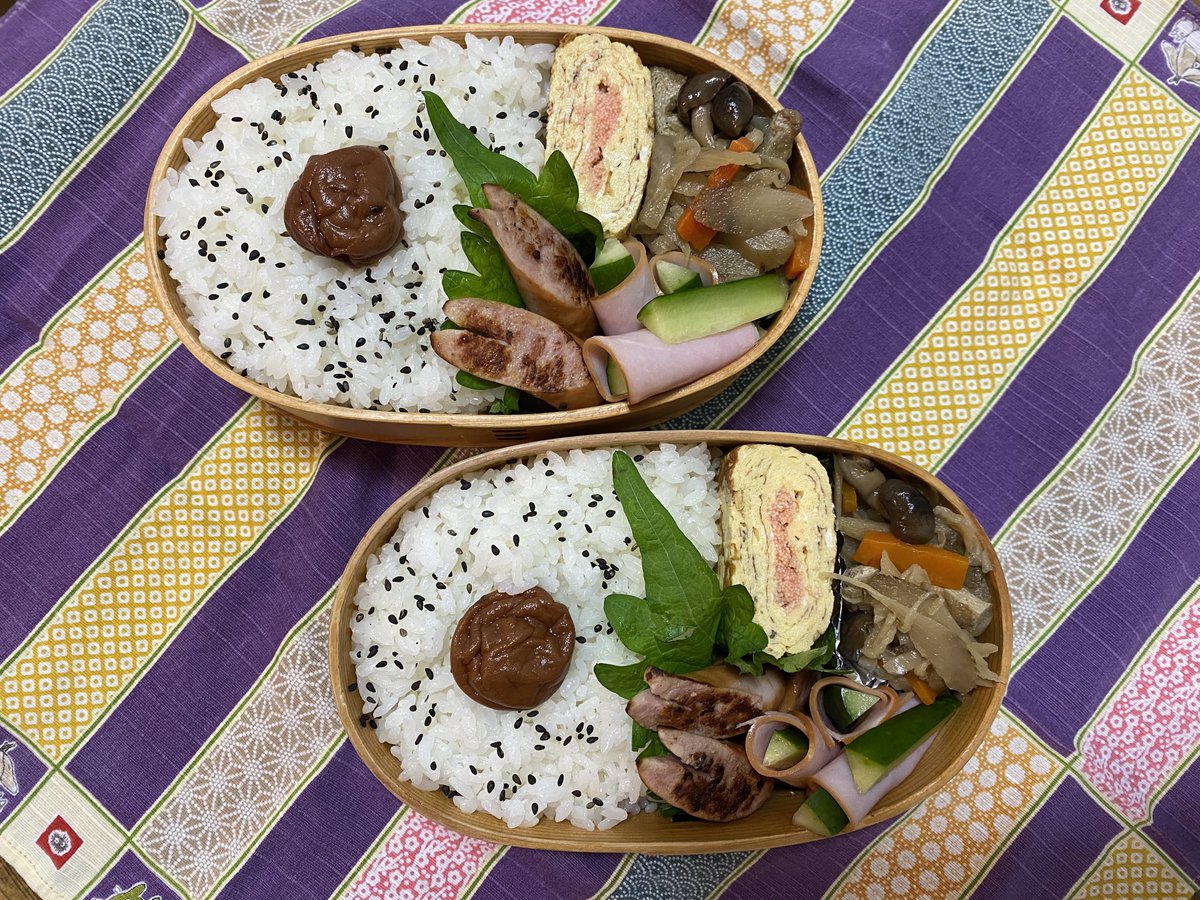 さあ月曜日、今日も良いお天気です⸜(*ˊᗜˋ*)⸝
年明けに成人式の姪っ子が「帯板を貸して欲しい」とのことで、郵便局に出しに行きます。そのまま少しお散歩できたらいいな♬.*ﾟ
少し前までは紫外線NGでしたが、今はそこまで気にしなくていいのがうれしいです(*^^*)