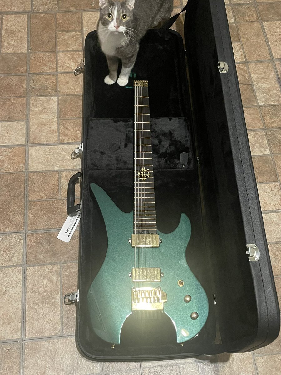matrafced94's tweet photo. Got my first 7 string guitar this is the schecter synyster gates 7 string headless guitar. Cat not included #7stringguitars #synystergates #Schecter https://t.co/E6yHvue26j