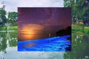 🥂Ate a piece of fudge with caramel and walnuts Crunchy gooey🚽Cat stretches, yawns big