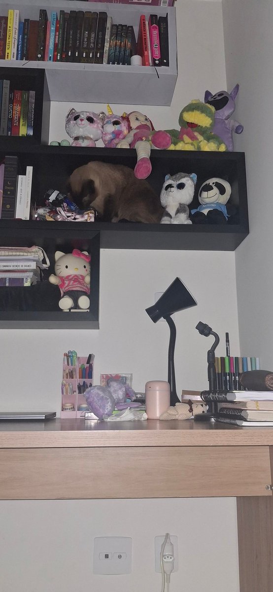 herstoricism's tweet photo. minha vida fora do twitter 🤪 https://t.co/0hcMe8GY6Y