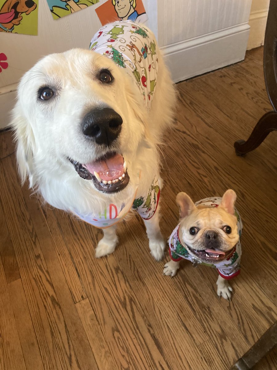 Anna The Pyrenees tweet media