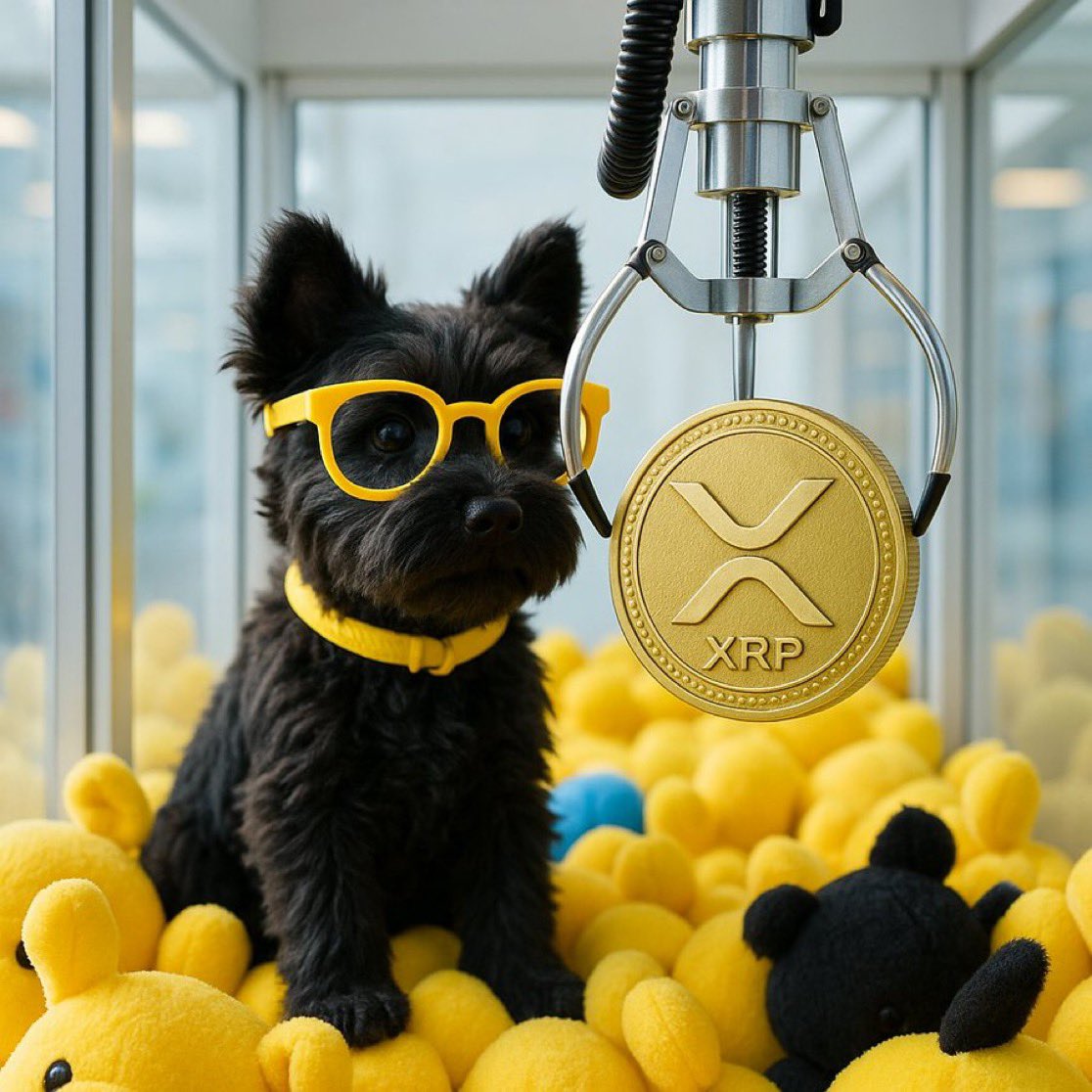 leo2021107's tweet image. If we’re talking belief, conviction, and a community that actually shows up, it’s $TOTO on XRP every single time.
Real builders, real culture, real upside no noise, just work.

@TERRYTOTO_XRPL

#TotoYellow