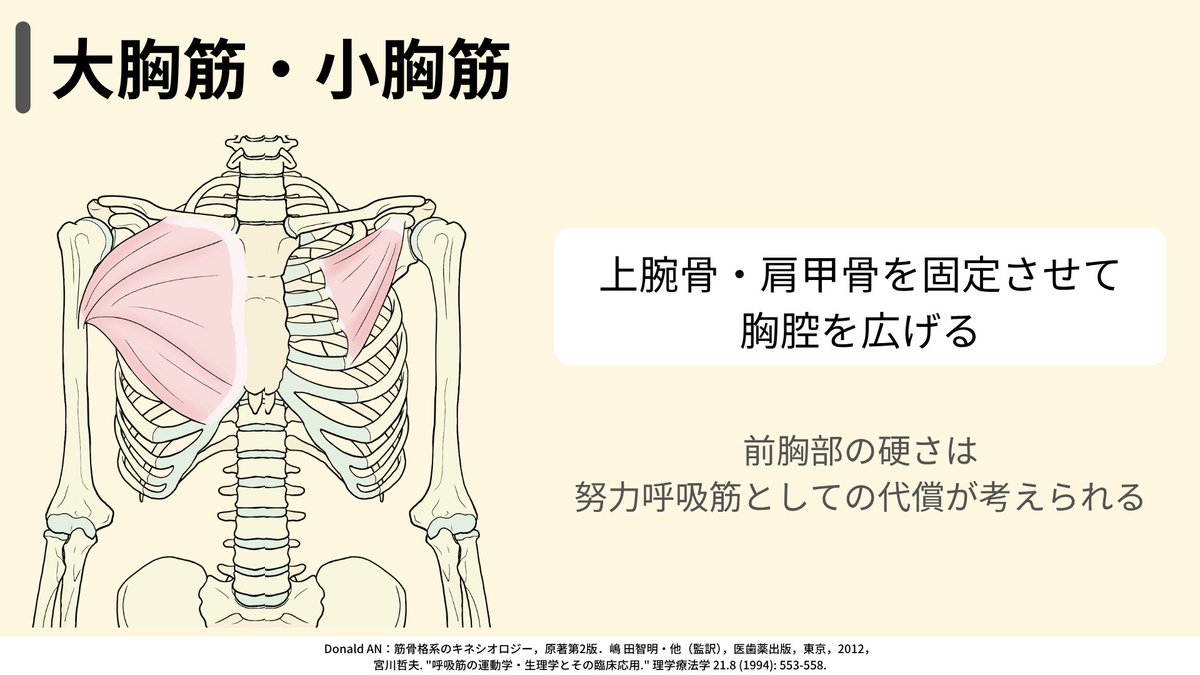 Rk_note14's tweet image. 大胸筋や小胸筋は硬くなりやすい筋肉であり、柔軟性低下による肩甲骨可動性低下も起きてしまう。なぜ硬くなってしまうのかを考えていくと一つ目は上位交差性症候群という筋肉のアンバランスの問題があります。

・緊張・短縮しやすい筋肉（過活動）
後頭下筋群、肩甲挙筋、僧帽筋上部
大胸筋、小胸筋…