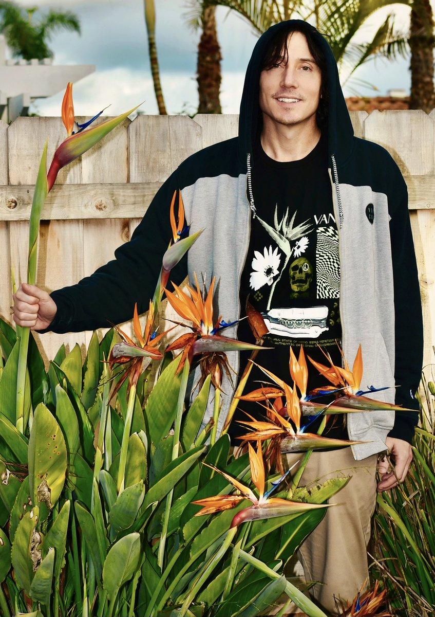 ReadJThompson's tweet image. “I’ve got a hostage now, copper! Any funny business and the Bird gets it!”

#jeremythompson