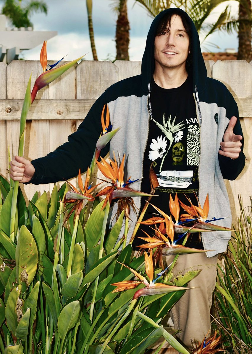 ReadJThompson's tweet image. “I’ve got a hostage now, copper! Any funny business and the Bird gets it!”

#jeremythompson