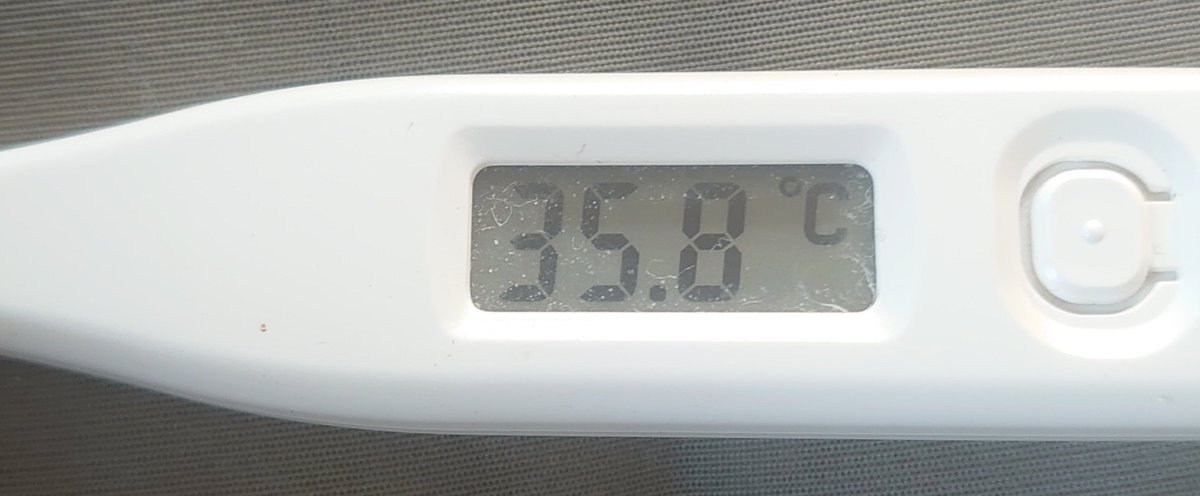 ケンジ (@dq4xRmvnRiSJZMp) / Posts / X