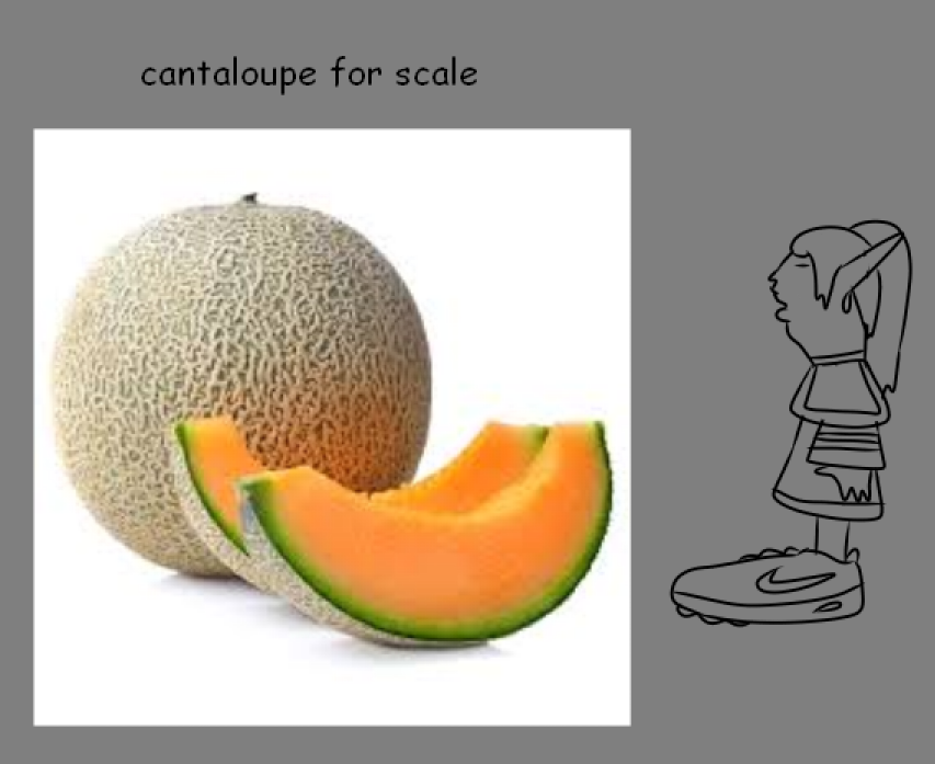 randomrabbit2nd's tweet image. i will sing the frieren song and you will sing along