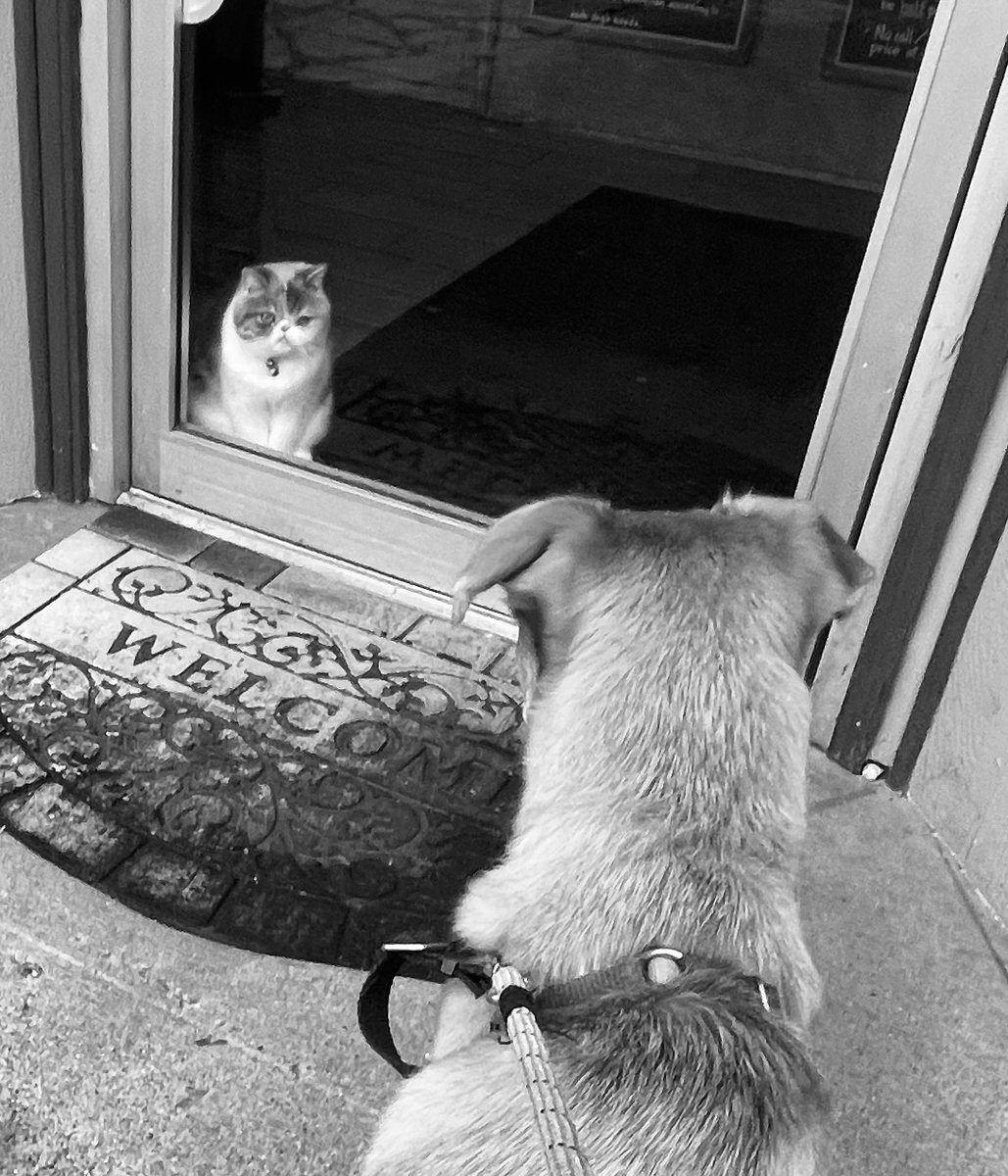 Pauledroberts's tweet image. neener neener neener