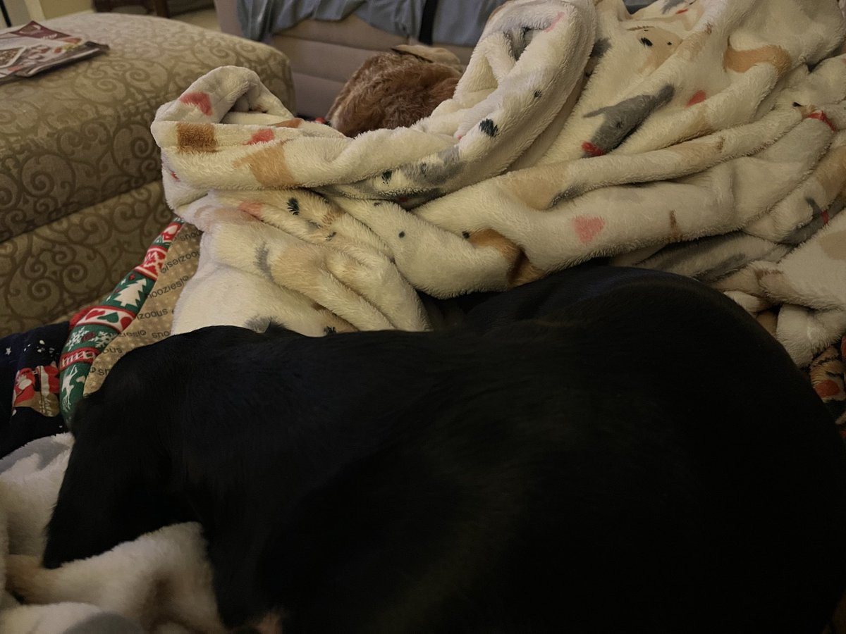 food comas 🤣🤣🤣🥰