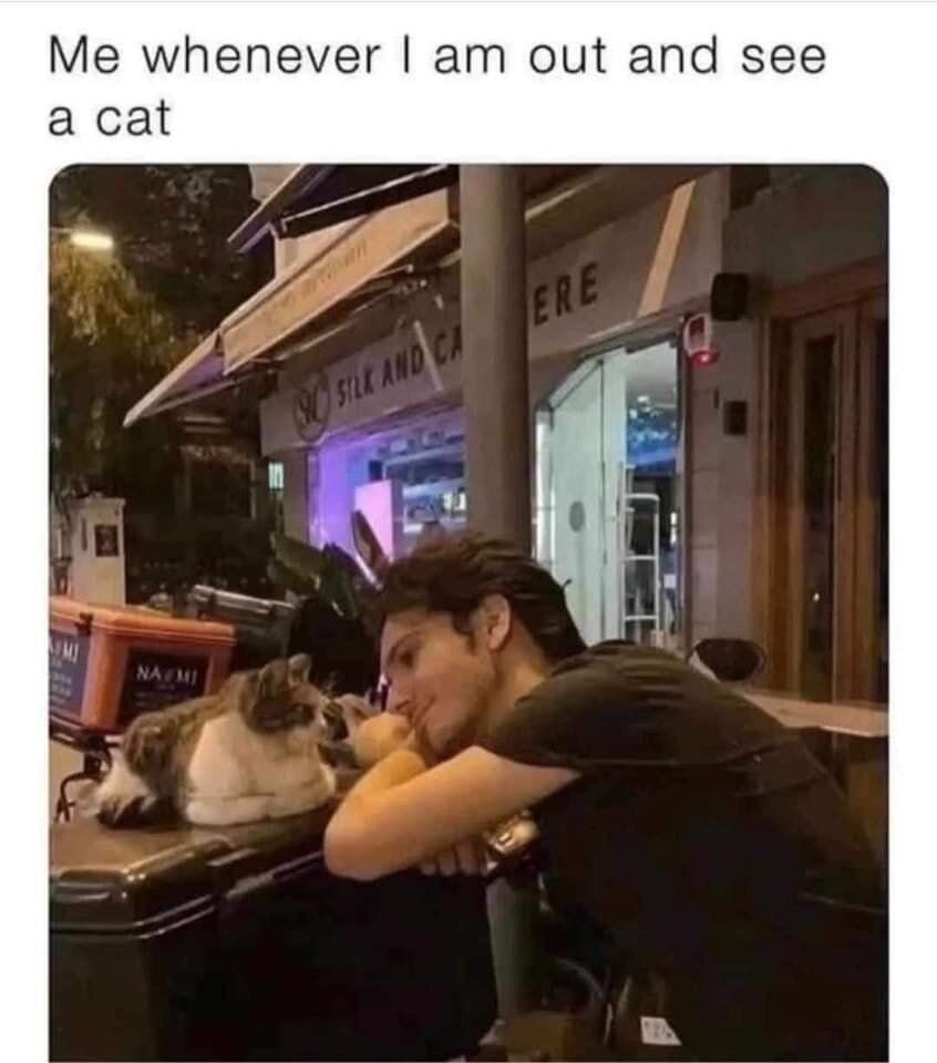 WholesomeMeme's tweet photo. https://t.co/xtLcME1p91