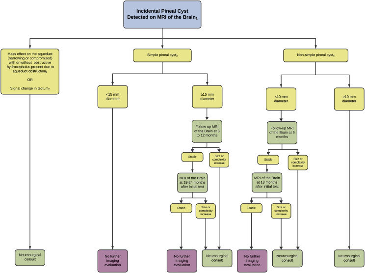 francisdeng's tweet image. Incidental pineal cysts that are simple &amp;amp; &amp;lt;15 mm, or nonsimple &amp;amp; &amp;lt;10 mm, do not need further imaging follow-up.

New from the @RadiologyACR 
@gmoonis @drsuyash @PallaviUtukuri @nyahyavi @JennyKHoang 
doi.org/10.1016/j.jacr…