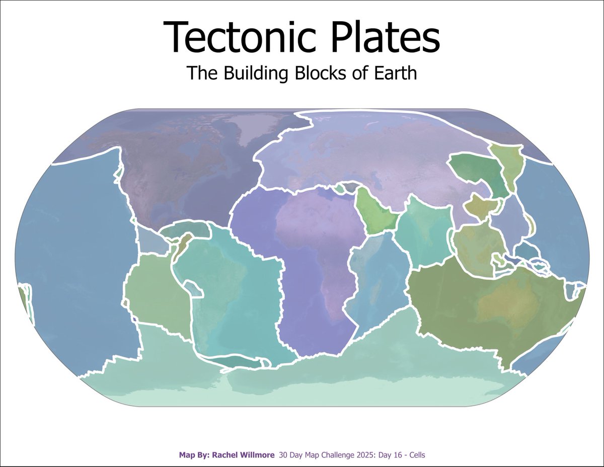 RachelWillmore's tweet image. #30DayMapChallenge
Day 16: Cell - Tectonic Plates