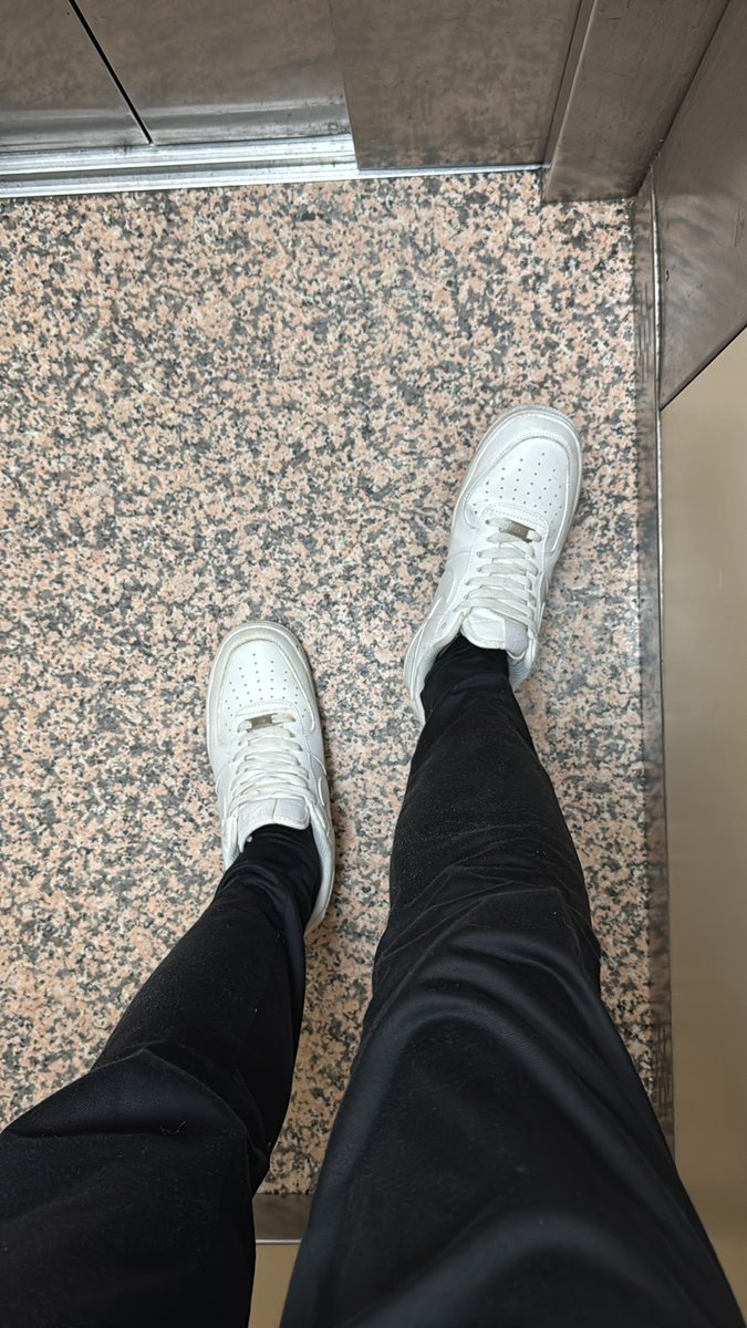 Alpha Apolo 🦍 tweet media