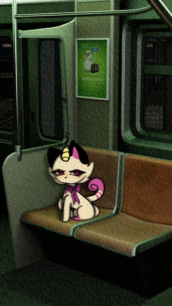 °ʚ🎀ɞ°
#Pokemon