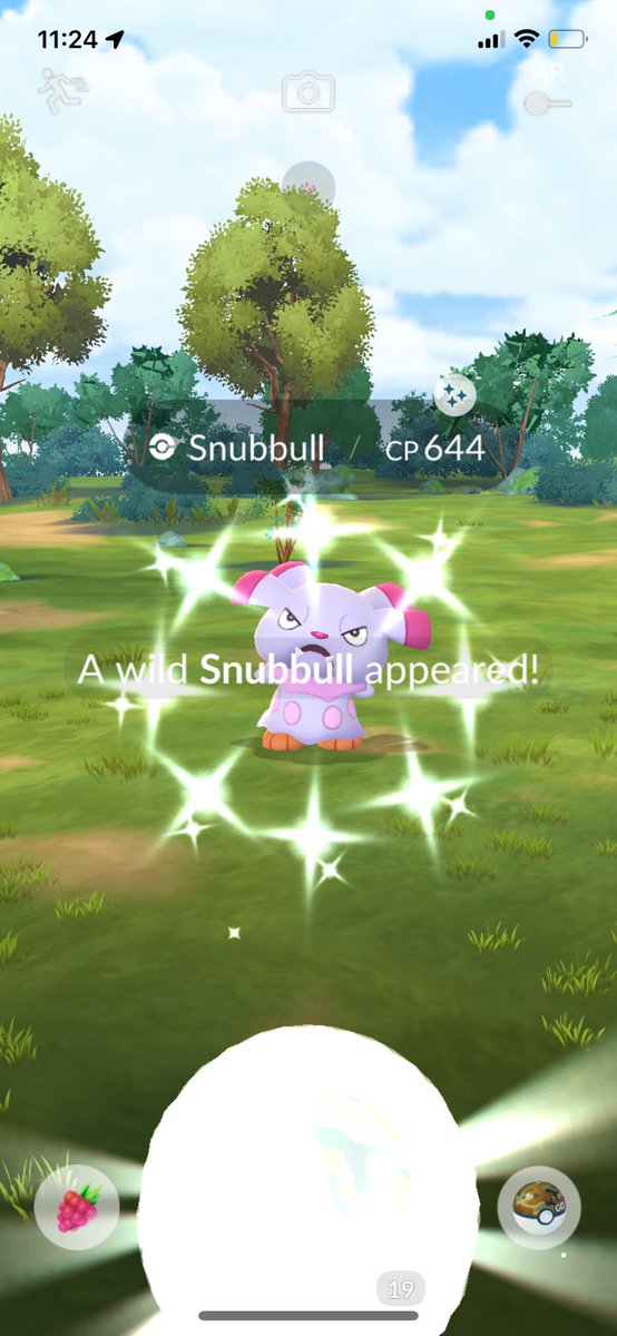 PokehunterAL's tweet image. Wild Area Shiny Summary:
(Both Days)