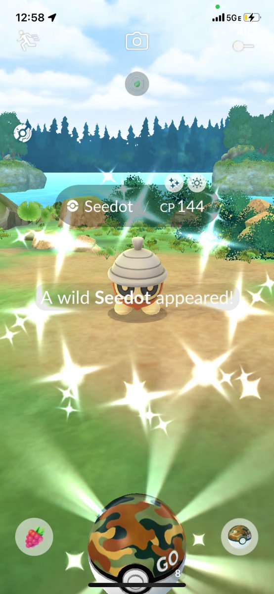 PokehunterAL's tweet image. Wild Area Shiny Summary:
(Both Days)