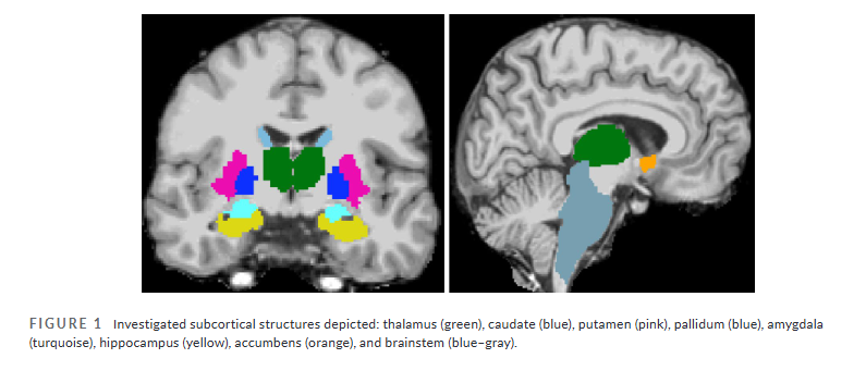 Headache Journal tweet media