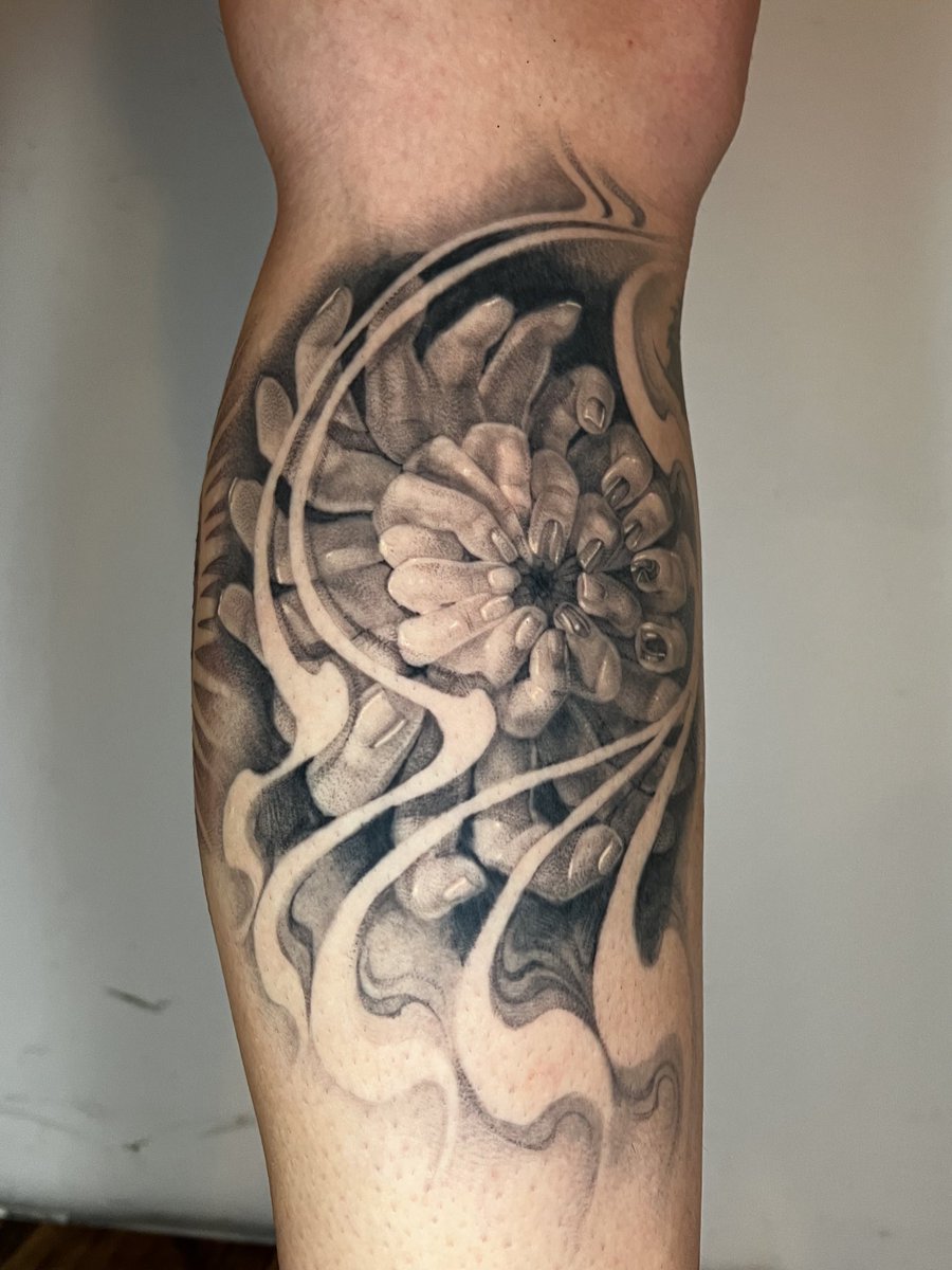 ✧ 𝖈𝖞𝖓𝖓𝖊𝖗 ✧ tweet media