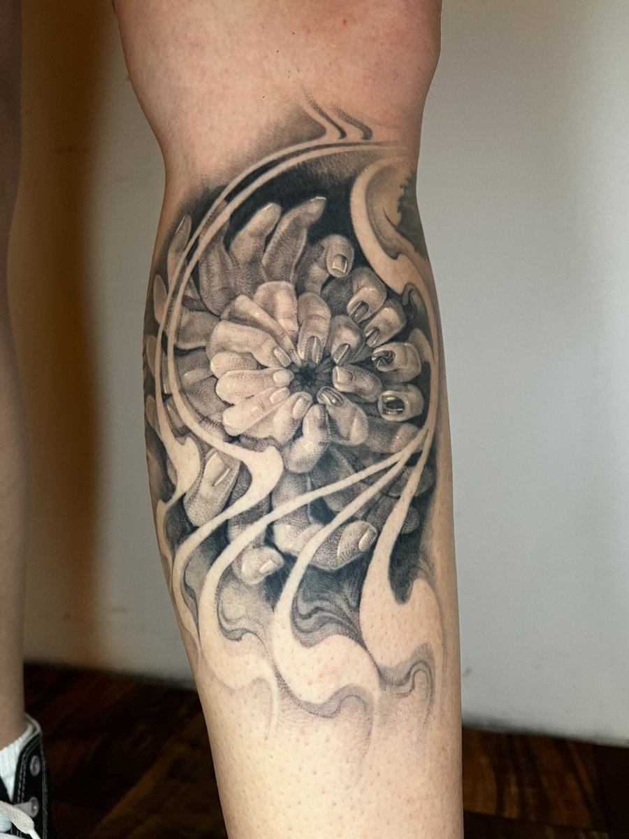 ✧ 𝖈𝖞𝖓𝖓𝖊𝖗 ✧ tweet media