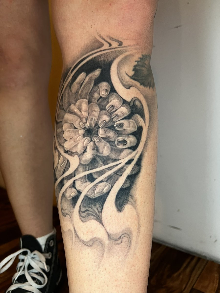 ✧ 𝖈𝖞𝖓𝖓𝖊𝖗 ✧ tweet media