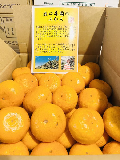 光 ～八百屋のお兄さん21年目突入～ (@neko0v0hentai) / Posts / X