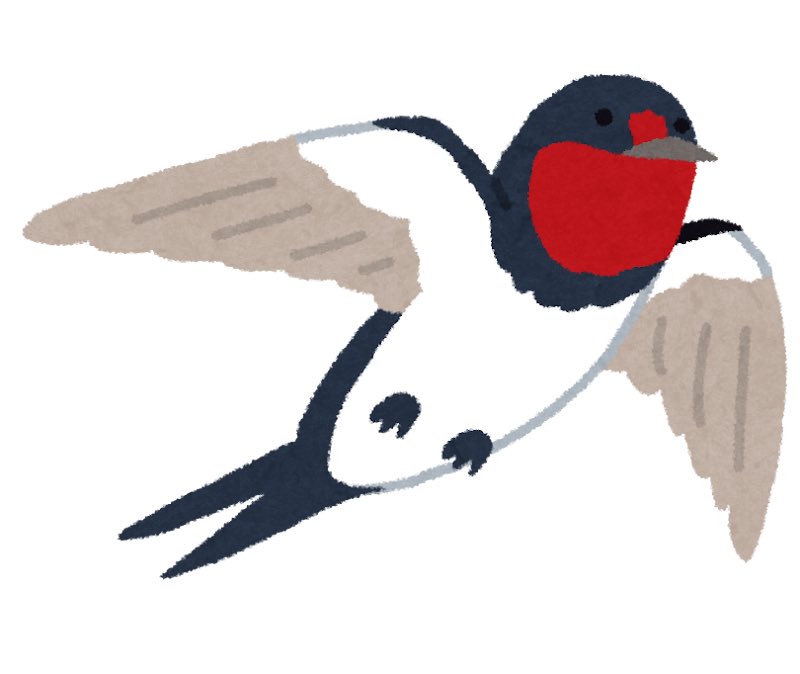 先週の風が強く吹いていた日、比較的大きめな3羽のツバメが元荒川（埼玉県越谷市）沿いを東の千葉県方面を目指して飛んで行ったけど、コシアカツバメだったのかな❓
それとも、普通のツバメ❓🤔💦