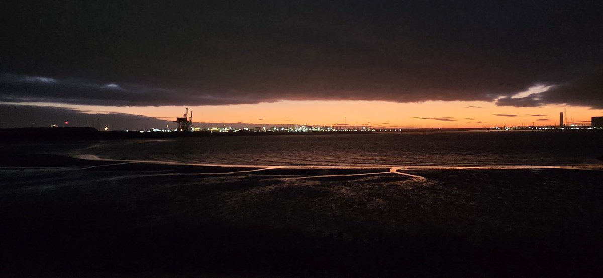 A trip upto Newcastle for work, gutted with negative news on the OBP, but all was not lost for my first trip to South Gare confiding   views of Bluethroat and Firecrest  plus 2Purple Sands after picking up 3 Snow Bunts at Blackhall Rocks on the way to SG.