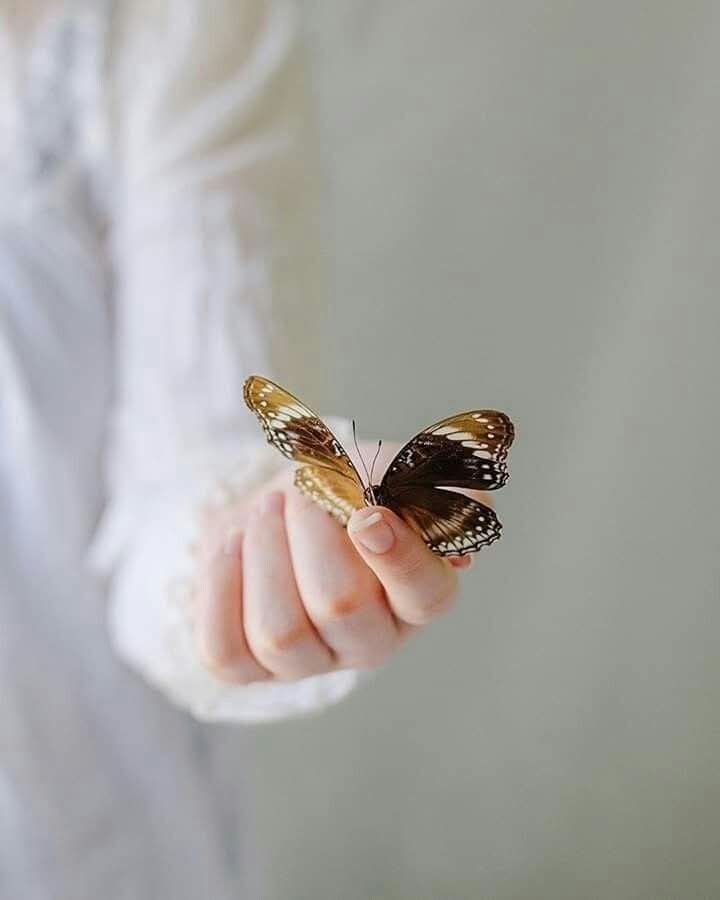 Boa noite 🌷 🌷🌷

Abrace sua Essência... Muitas vezes, nos diminuímos para caber em espaços que nunca foram feitos para nós. Pedimos desculpas por nossa sinceridade, diminuímos nossa luz para evitar ser "demais". Sua abundância – de sentimentos, ideias, sonhos – não é uma falha,