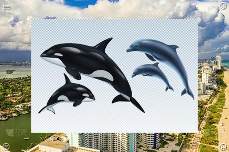 TurkeyLoading's tweet image. 📰Cake has too much frosting, frosting has too much sugar—perfection.☝Ripples消失, finally.