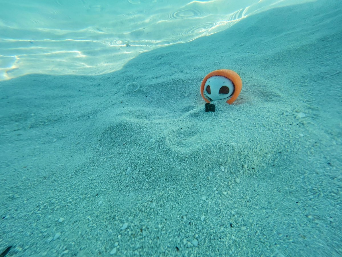 Last few days of the vacation but man, it has been a blast.. #ProjectHazy