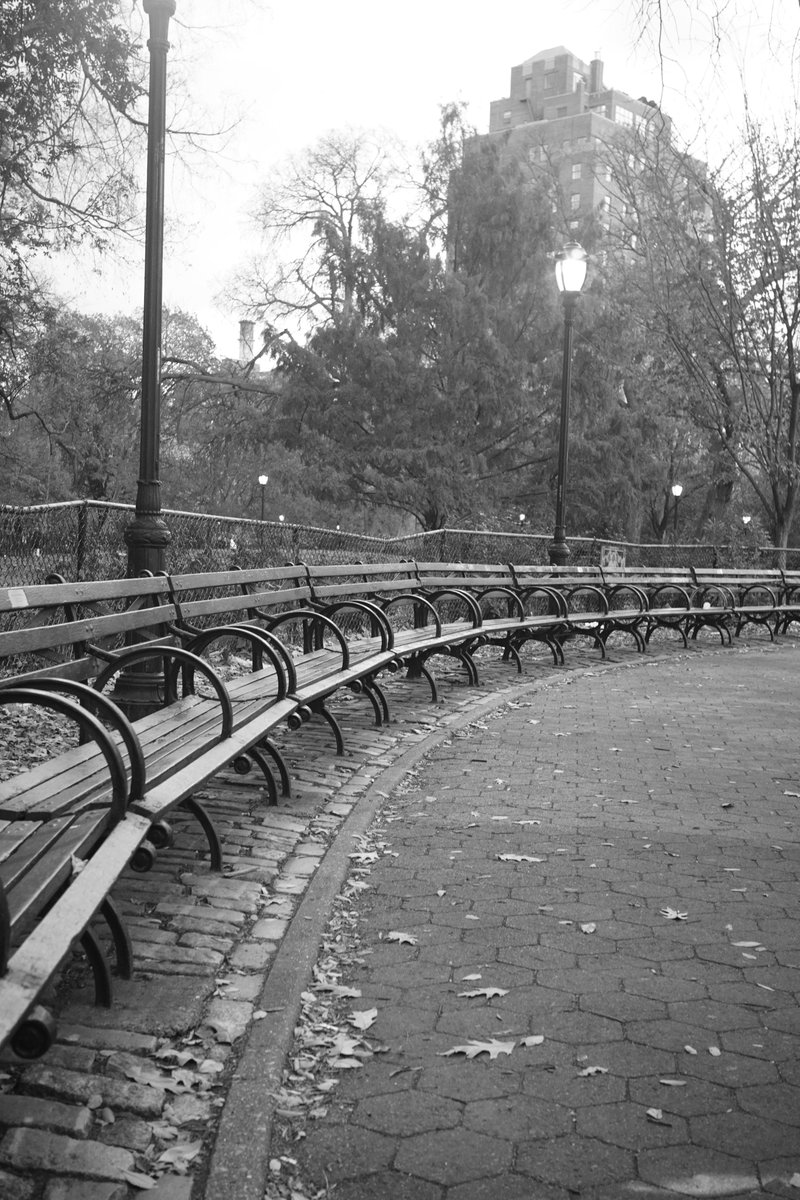 CodingGarden's tweet image. made it to NYC

i have entered my moody b&amp;amp;w photography phase