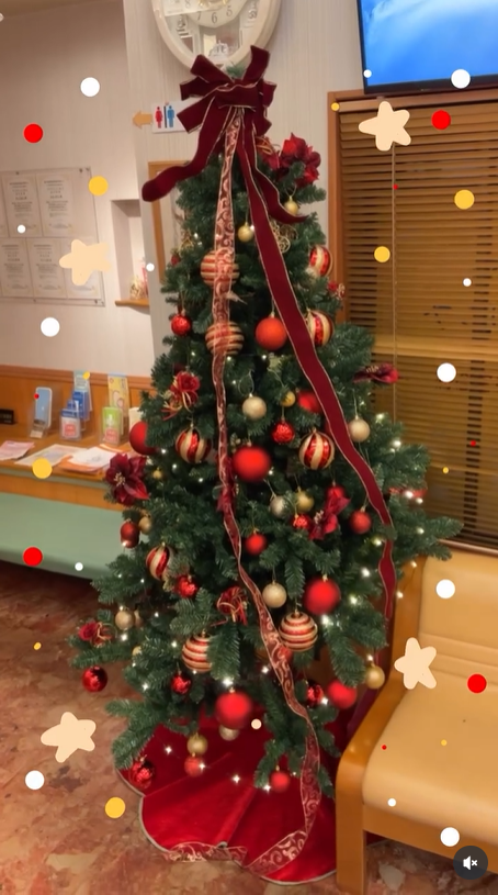 endodc's tweet photo. 年からクリスマスツリー🎄が新しくなりました‼️今日は光ったキラキラverをお届けします(^^)来院された時はぜひご覧ください🎅

#衛生士のたまご #歯科医師  #歯科助手 #歯科助手 #岐阜県関市 https://t.co/sxjs9wG76J