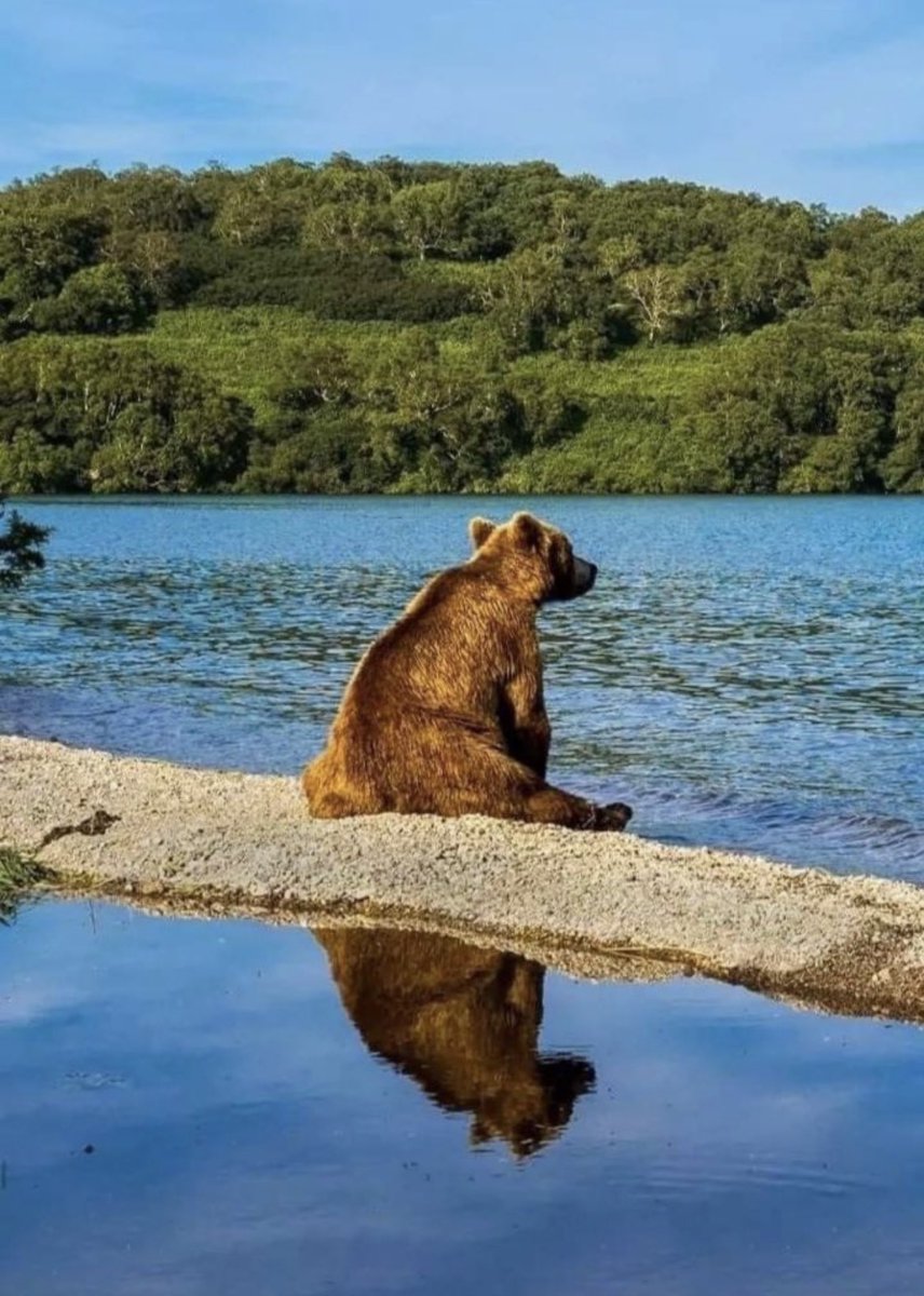 not__dog__'s tweet image. World without end