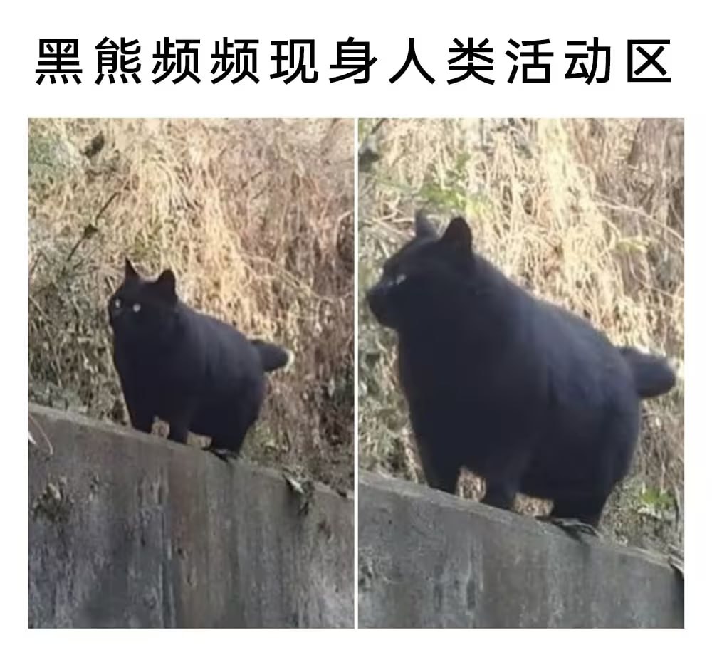 xiangyuniunai's tweet photo. https://t.co/CD2fqJFAsw