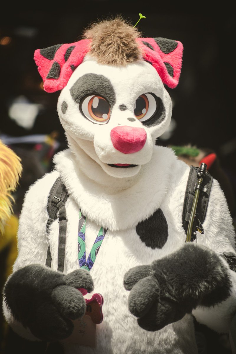 H͓̽a͓̽l͓̽e͓̽n͓̽ 🔜 FurDU 26 tweet media