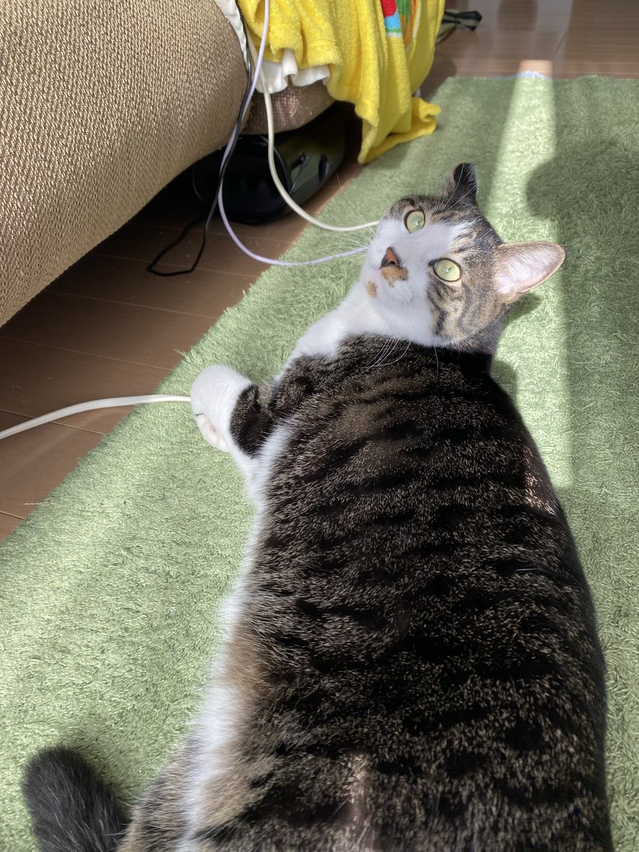 朝日が眩しぜ✨