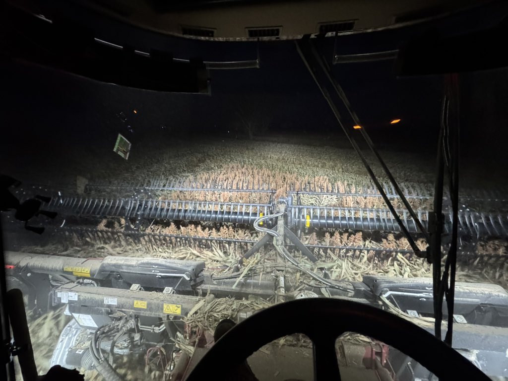 Cale Carlson tweet media