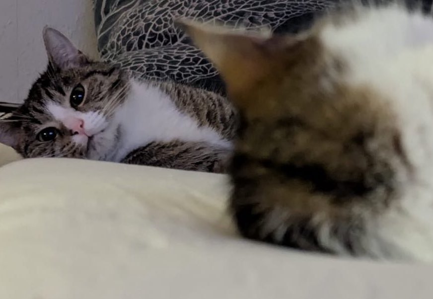 vi (@viesuess) on Twitter photo 